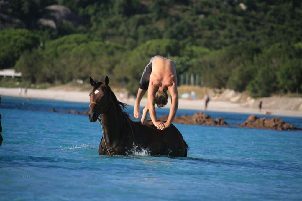 Equitation et baignade Porto Vecchio